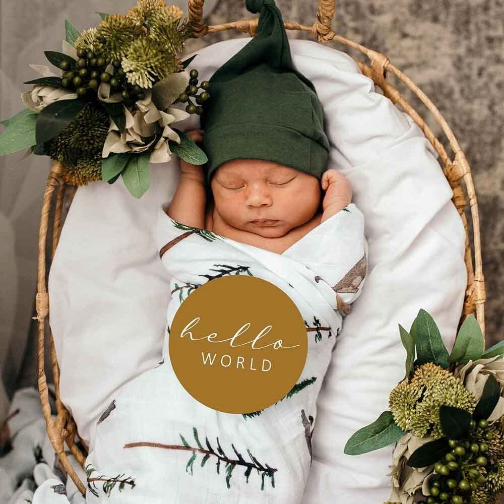 Snuggle Hunny Milestone Cards - Alpha & Bronze