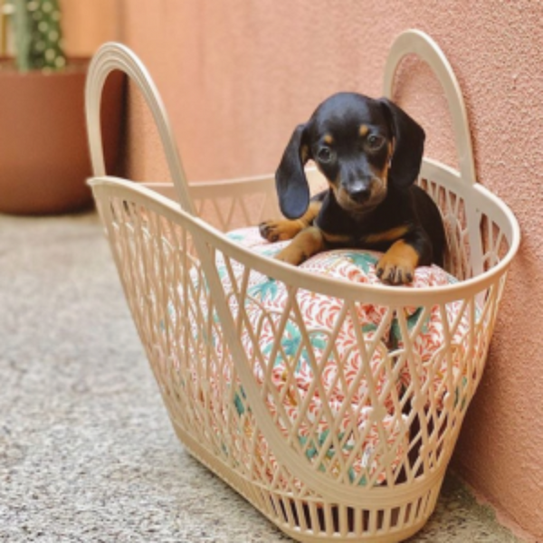 Sun Jellies Betty Basket - Latte