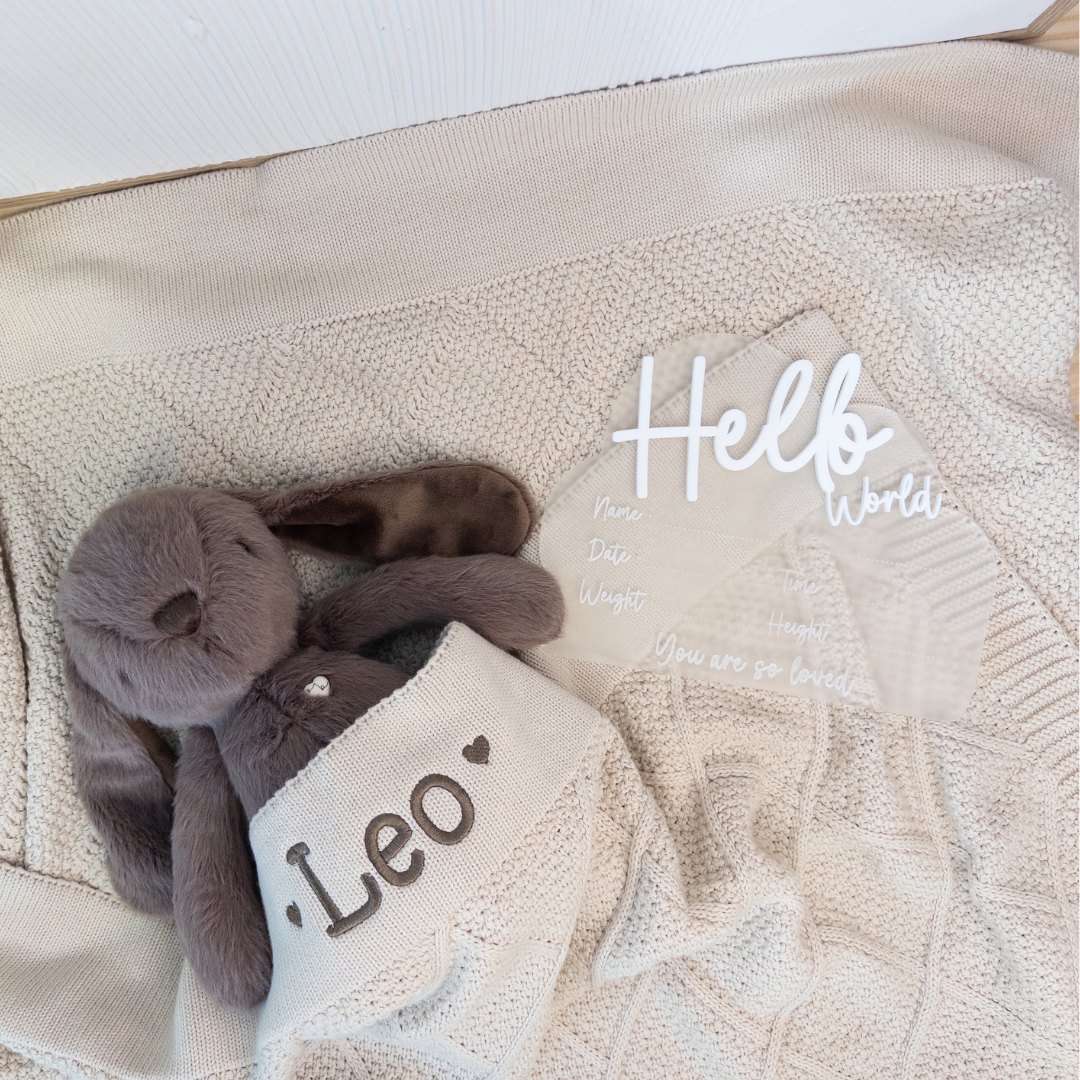 Birth Announcement Plaque - Hello World Frosted Cloud