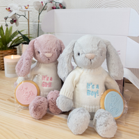 Gender Reveal Set - Snuggle Bunnies Moonbeam & Powder Pink