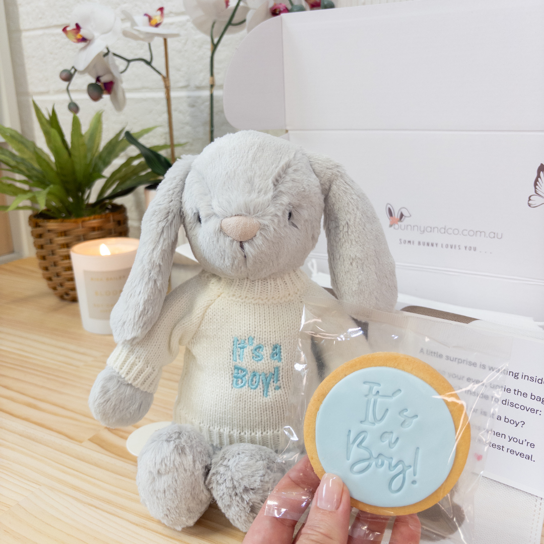 Gender Reveal Set - Snuggle Bunnies Moonbeam & Powder Pink