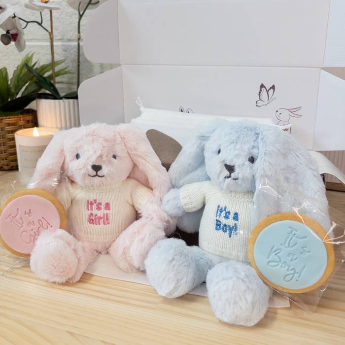 Gender Reveal Set - OB Designs Bunny Pink & Blue