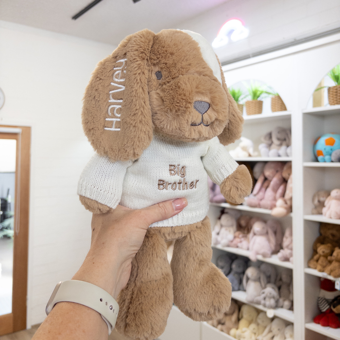Big Brother Puppy & Jumper - Duke Dog 40cm