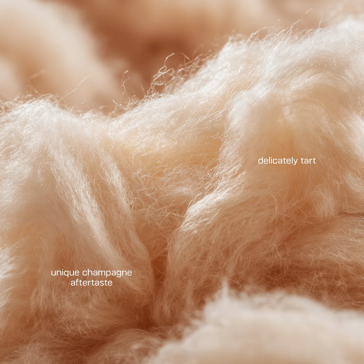 Fluffe - Champagne Fairy Floss 9g