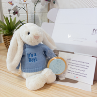 Gender Reveal Set - Cream Jellycat Bunny