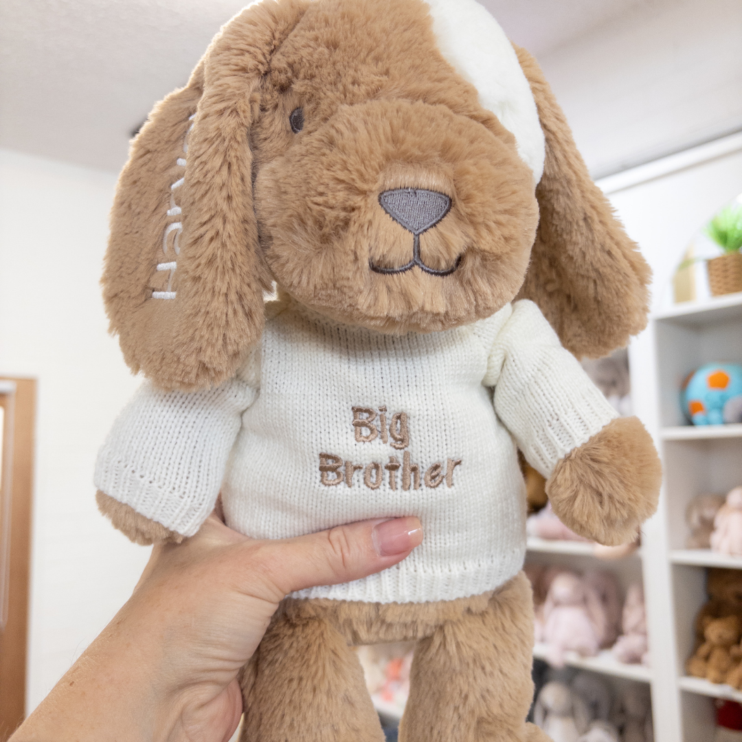 Big Brother Puppy & Jumper - Duke Dog 40cm