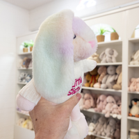 Little Sister Bunny & Jumper - Rainbow 25cm