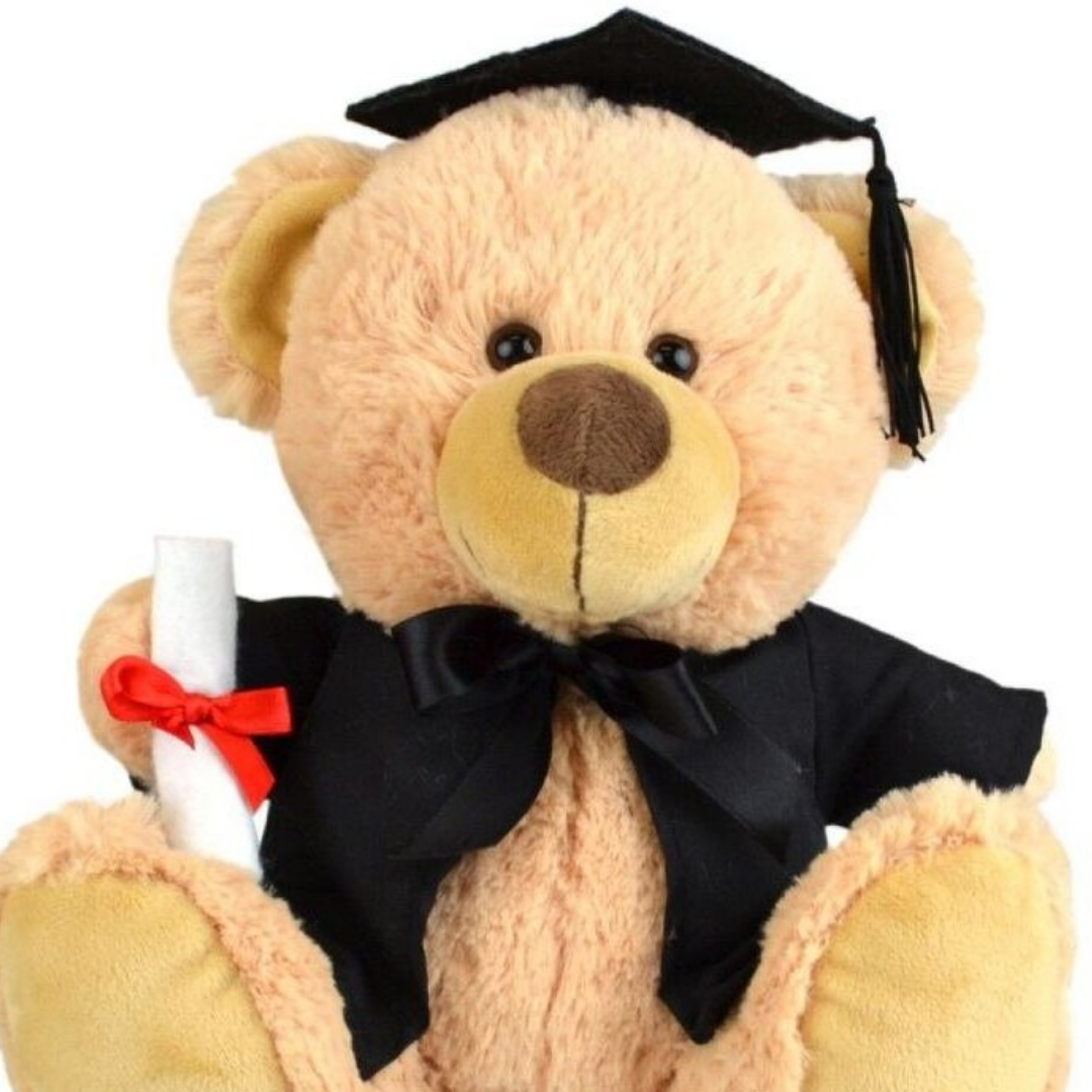 Korimco Graduation Bear - 23cm