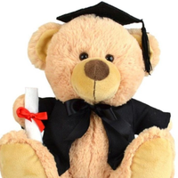 Korimco Graduation Bear - 23cm