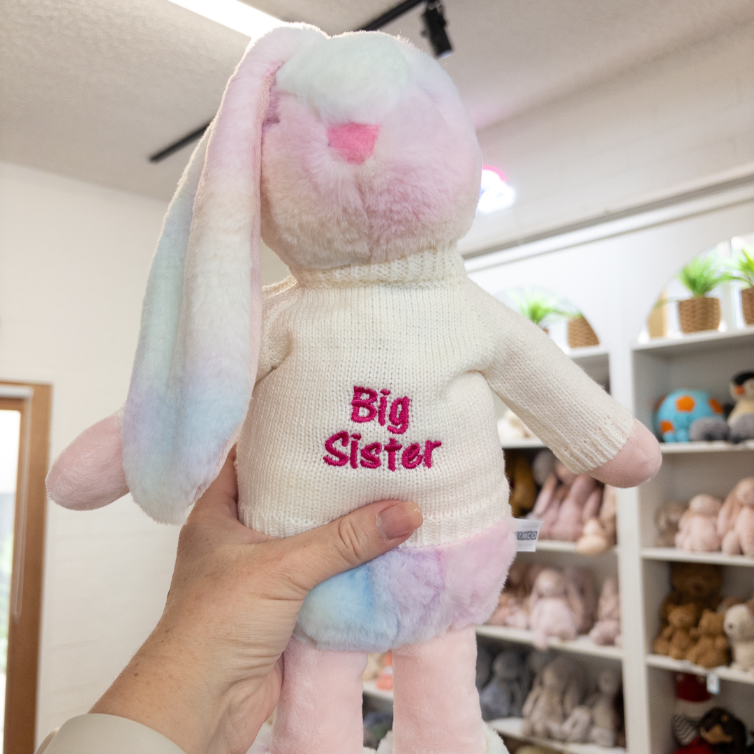 Big Sister Bunny & Jumper - Rainbow 39cm