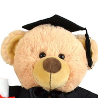 Korimco Graduation Bear - 23cm