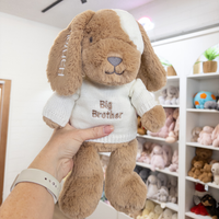 Big Brother Puppy & Jumper - Duke Dog 40cm