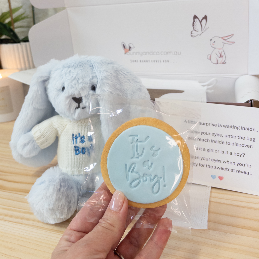 Gender Reveal Set - OB Designs Bunny Pink & Blue