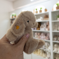 Personalised Snuggle Bunnies - Frankie the Hugging Bunny - Caramel