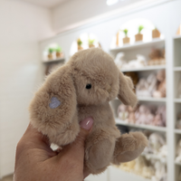 Personalised Snuggle Bunnies - Frankie the Hugging Bunny - Caramel