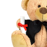 Korimco Graduation Bear - 23cm
