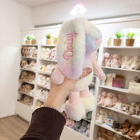 Personalised Small Frankie Bunny - Rainbow 25cm