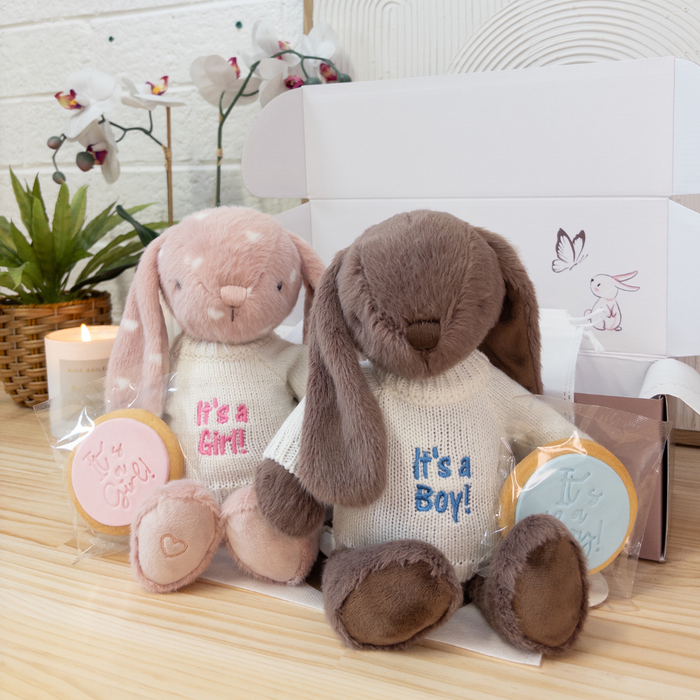 Gender Reveal Set - Snuggle Bunnies Little Love & Spice