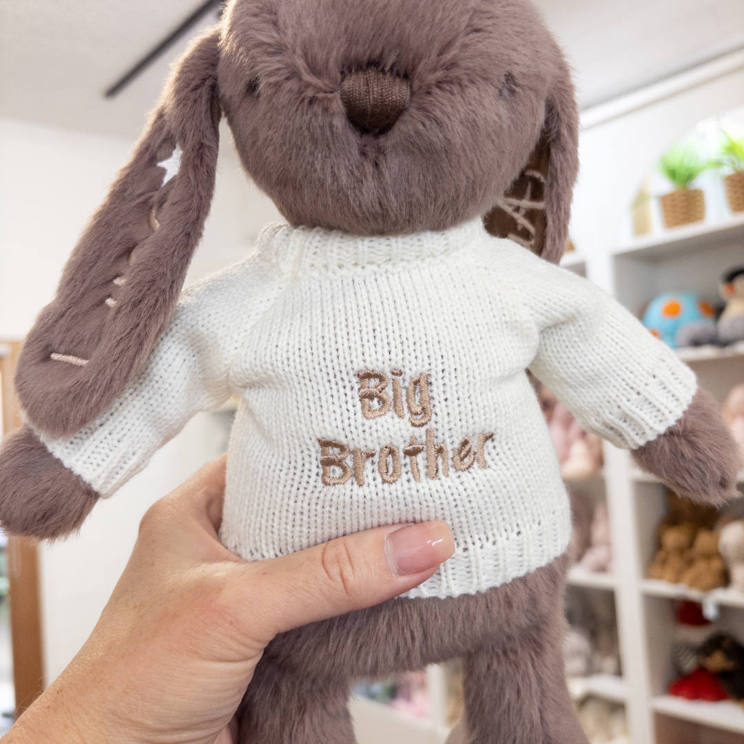 Big Brother Bunny & Jumper - Spice 30cm