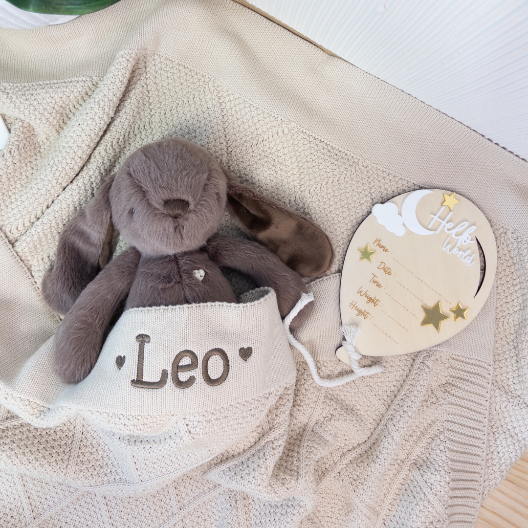Birth Announcement Plaque - Hello World Balloon