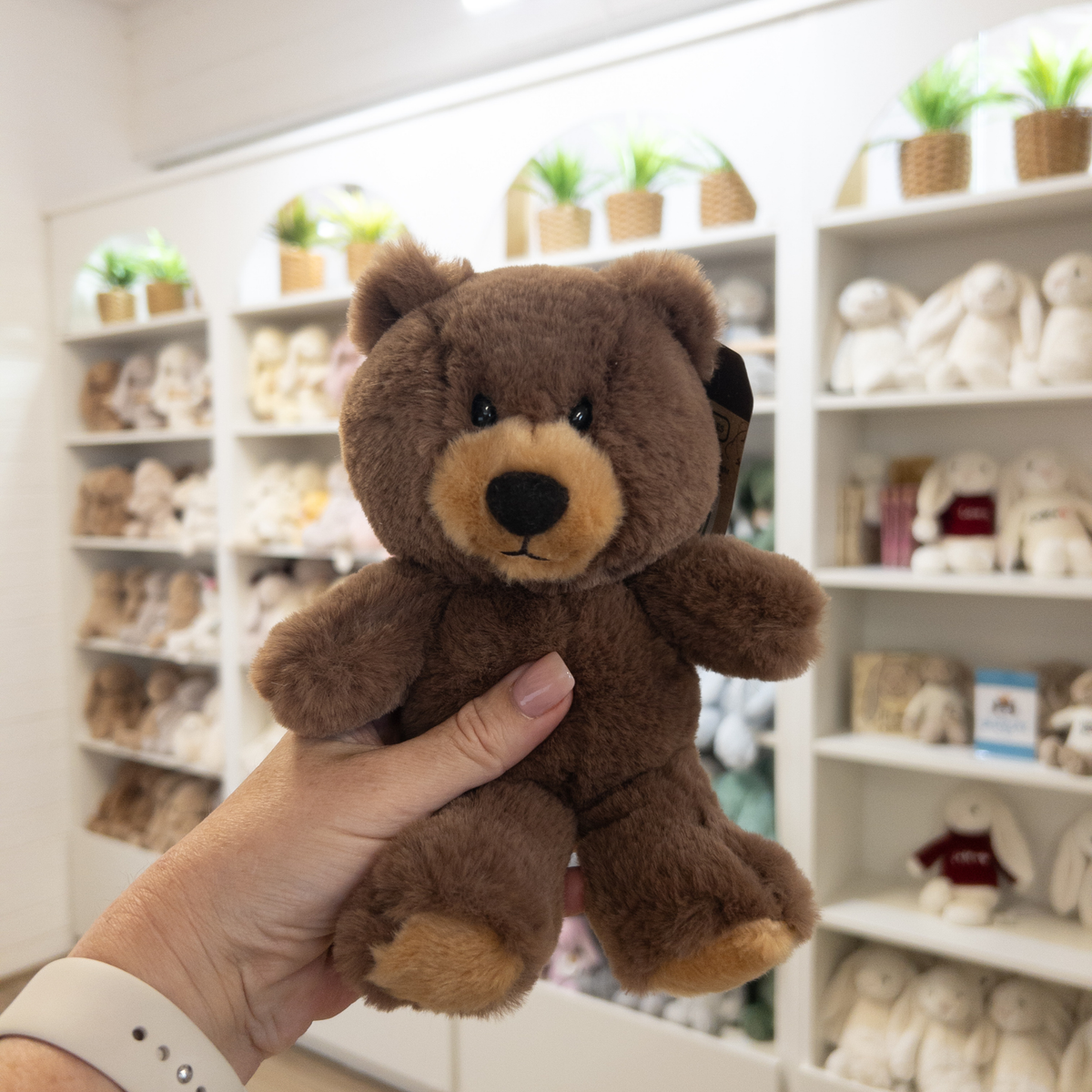Pookie Bear - Small
