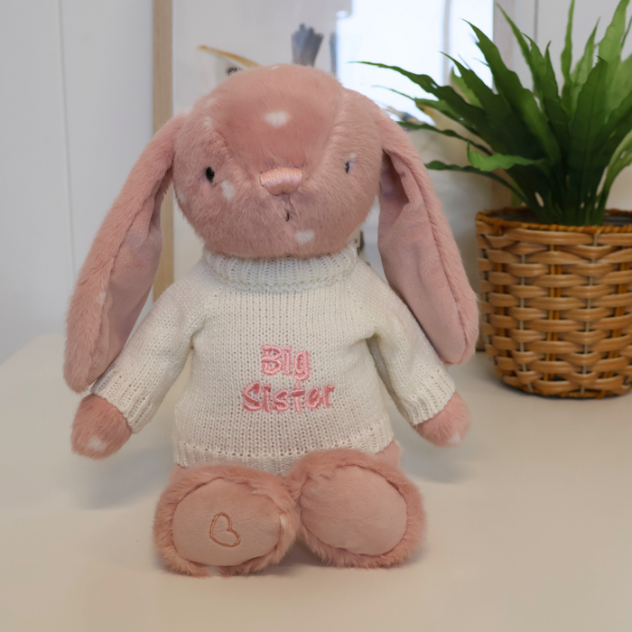 Pink Snuggle Bunnies plush bunny toy with 'Big Sister' sweater on a white surface with a plant in the background