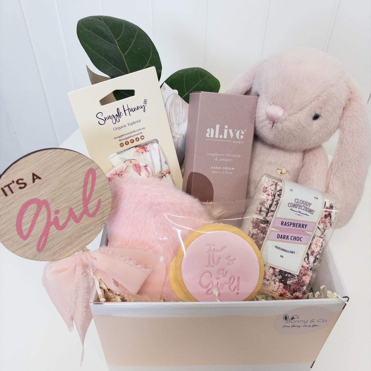 Same-Day It's A Girl Bunny Hamper with Living Gift