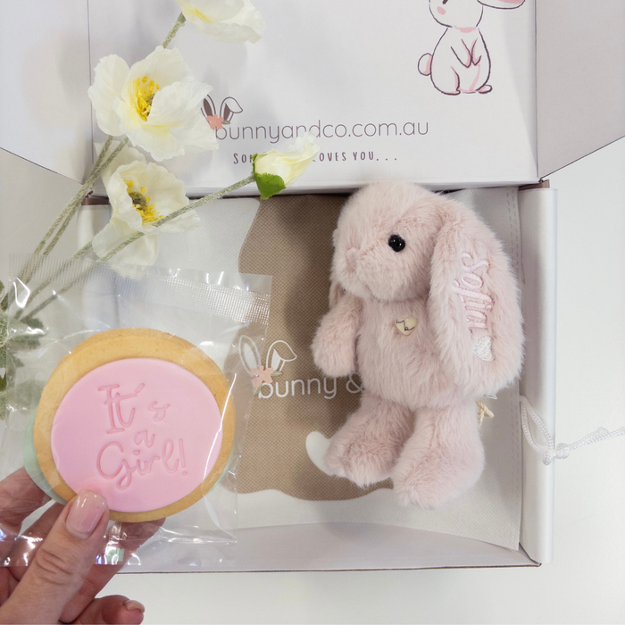 Pink plush bunny toy and cookie with 'It's a Girl!' text in front of a branded baby gift box.