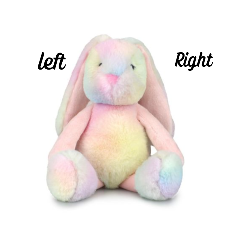 Personalised Small Frankie Bunny - Rainbow 25cm